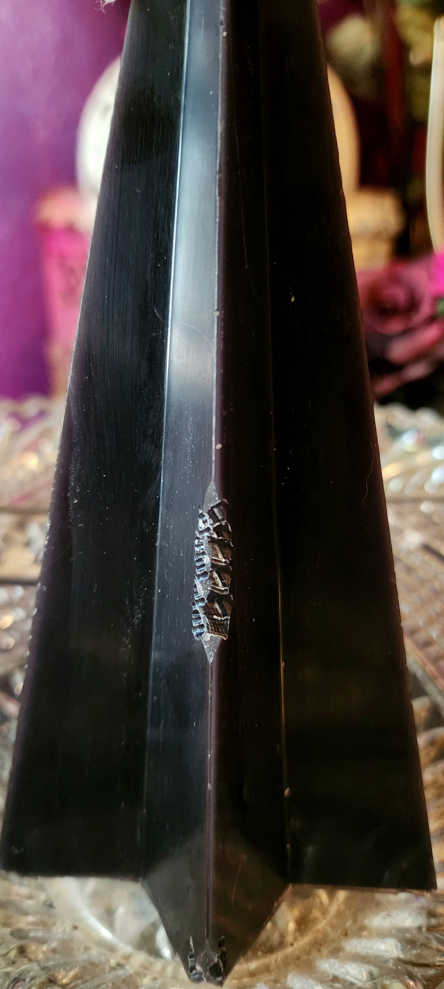 Bunbuns Ate My Candle