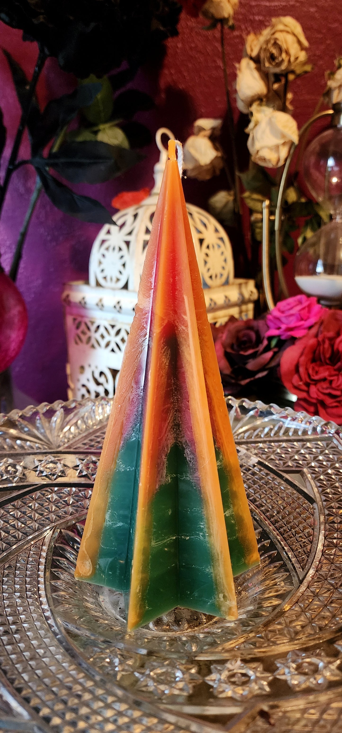 Desert Twilight Shooting Star