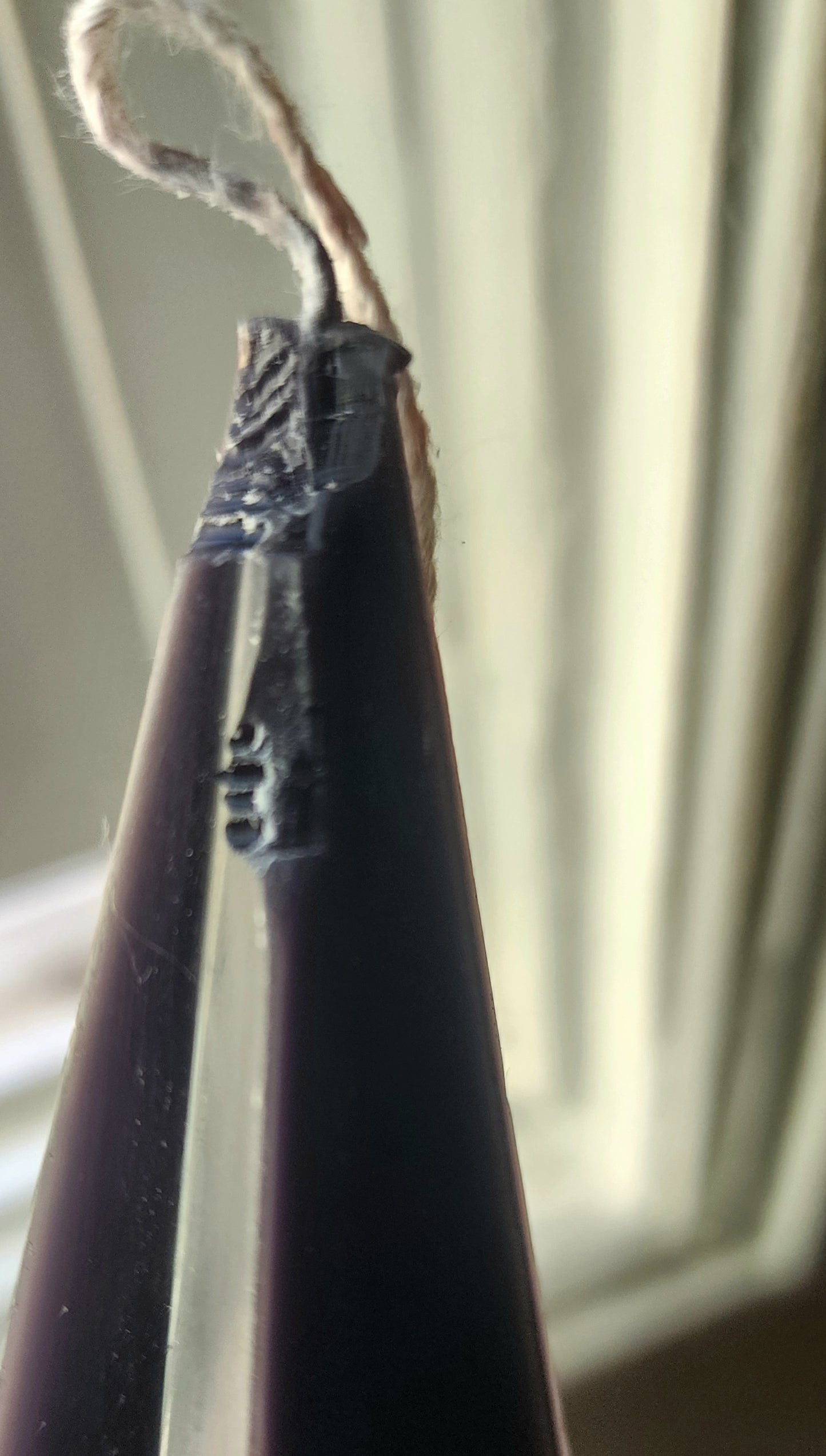 Bunbuns Ate My Candle